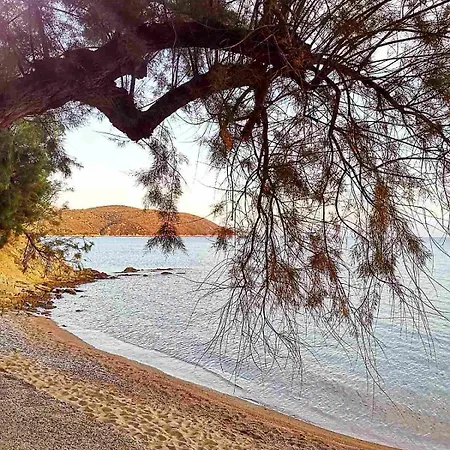 Blue Window アパート フィニクーダ